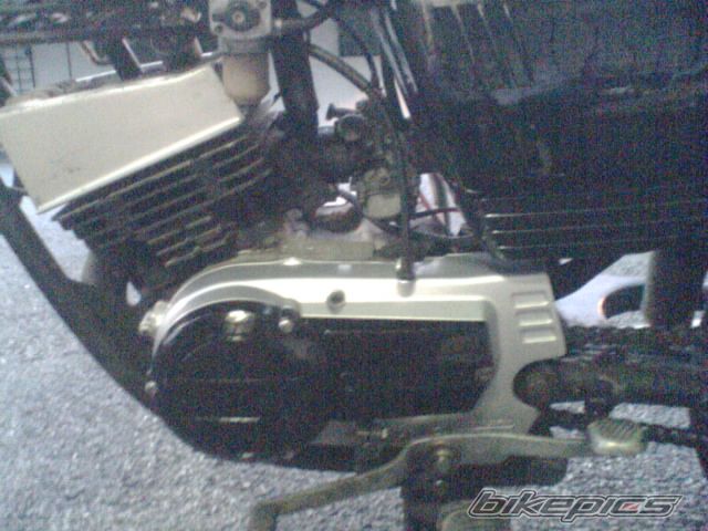 Bike Photo 999895