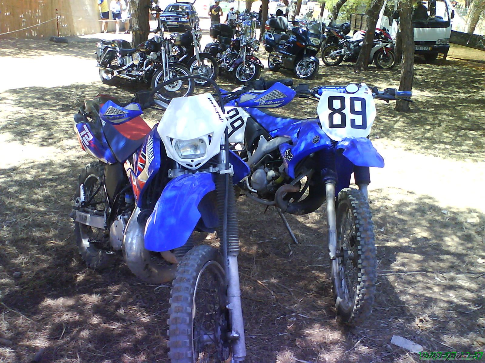 Photo 999932