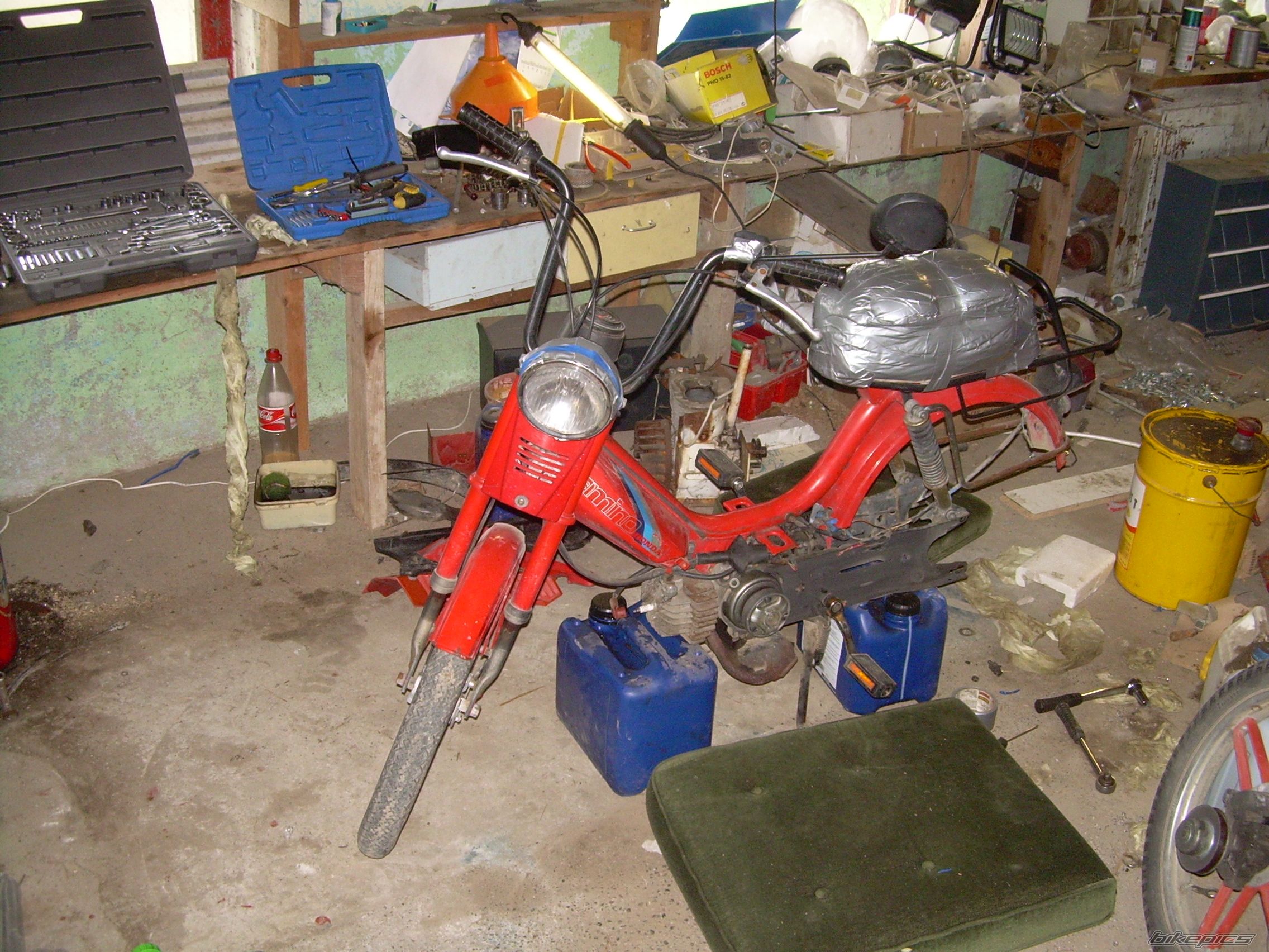 Photo 999950
