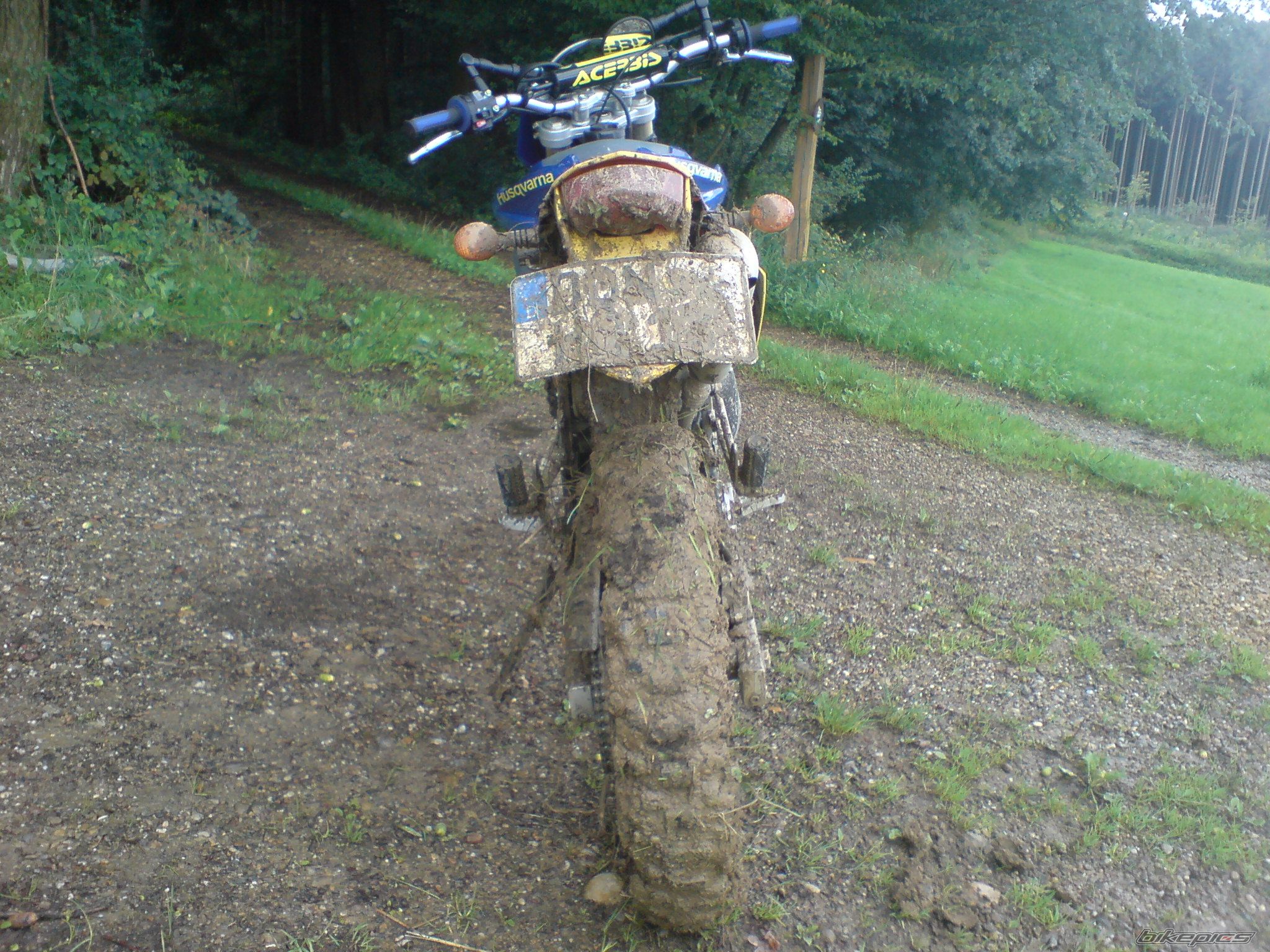 Photo 999951