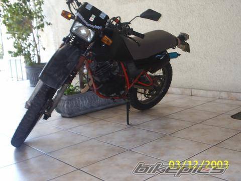 Photo 99996