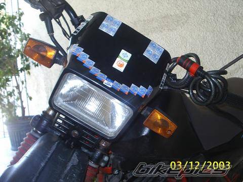 Photo 99997